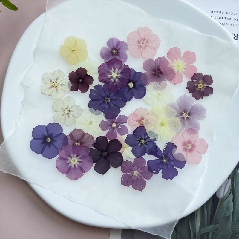 12pcs,Semi-Transparent Niche P - огляд і ціна Resin Craft Ideas
