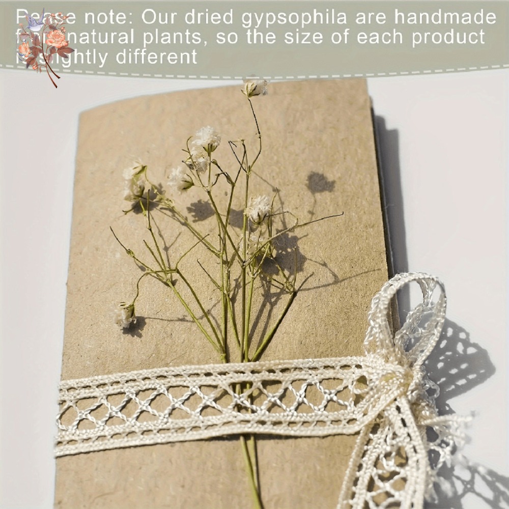 100pcs Mini Dried Baby's Breat - огляд і ціна Resin Craft Ideas